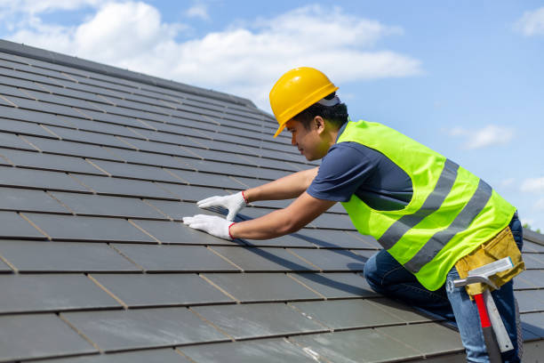 Roof Gutter Cleaning in Porter Heights, TX