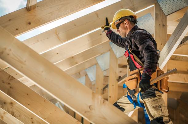 Best Roof Gutter Cleaning  in Porter Heights, TX